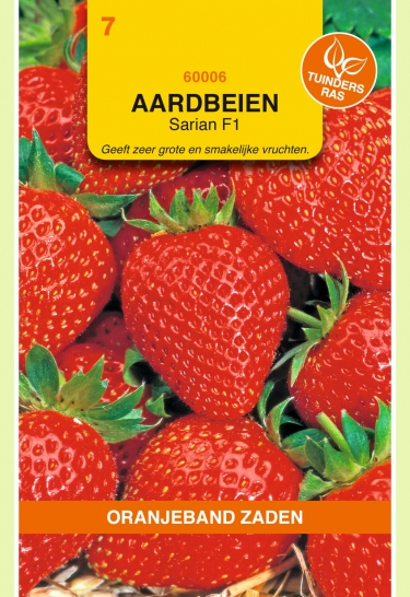 Strawberry Grandian F1 (Fragaria) 20 seeds OBZ
